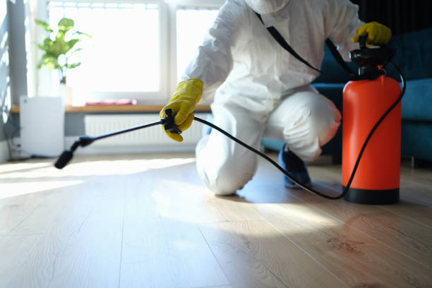 Reliable Hoarding Cleanup contractor in Harrisville, NH by Trauma Clean Pros